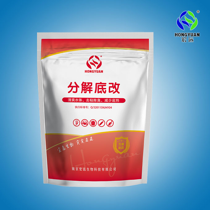 分解底改 分解底改